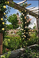 DSC_2388.JPG