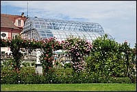DSC_2394.JPG