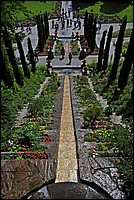DSC_2396GCo.jpg
