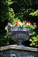 DSC_2399D.jpg