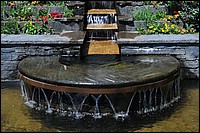 DSC_2420C.jpg
