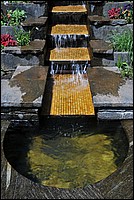DSC_2430.JPG