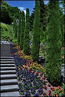 DSC_2435.JPG