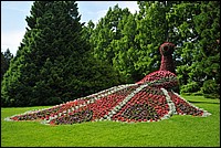 DSC_2485.JPG