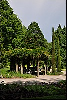 DSC_2494.JPG