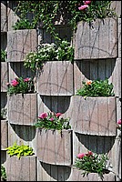 DSC_2495.JPG