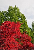 DSC_2496.JPG