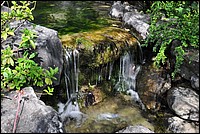 DSC_2516.JPG