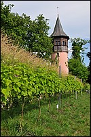 DSC_2533.JPG