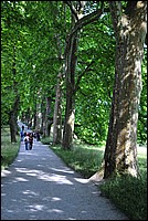 DSC_2535.JPG