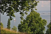DSC_2540.JPG