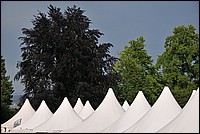 DSC_2544.JPG