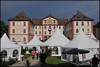 DSC_2549.JPG