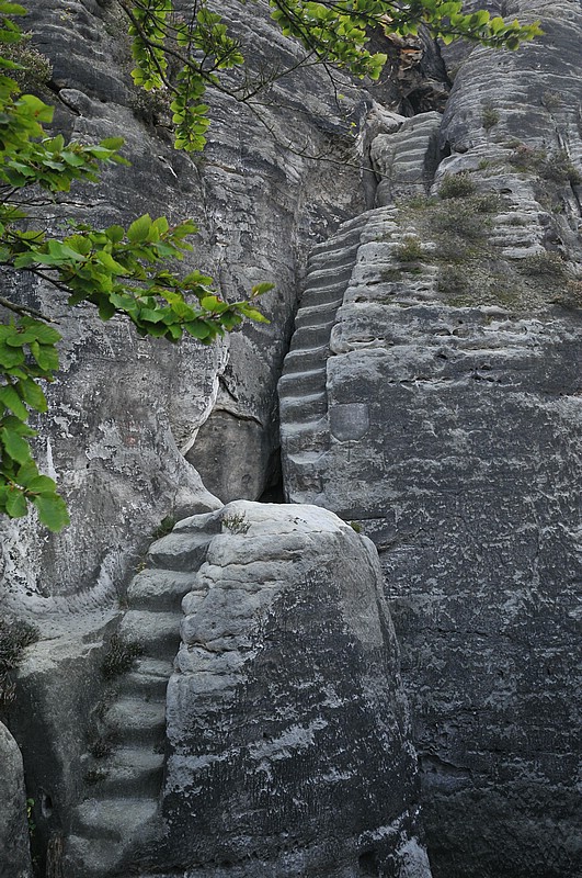 DSC_09425.JPG
