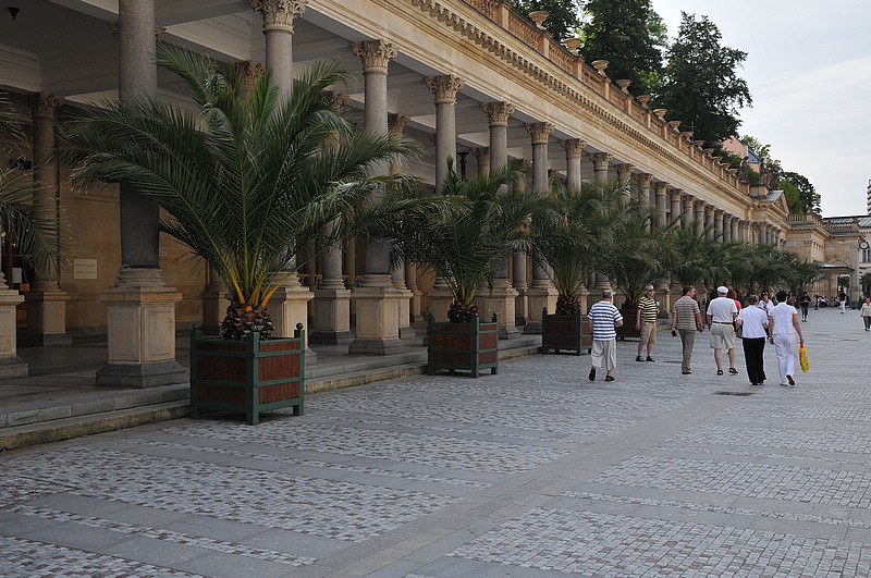 DSC_10333.JPG