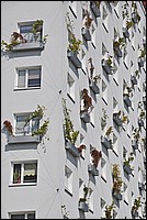 DSC_09219G.jpg
