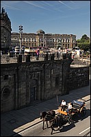 DSC_09595DE.jpg