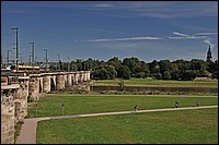 DSC_09731DG.jpg