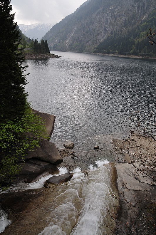 DSC_0898D.jpg