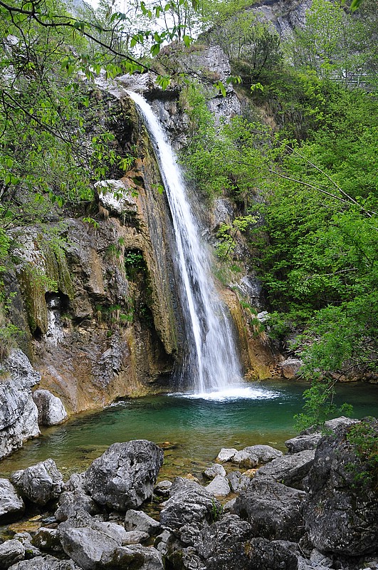 DSC_0980.JPG
