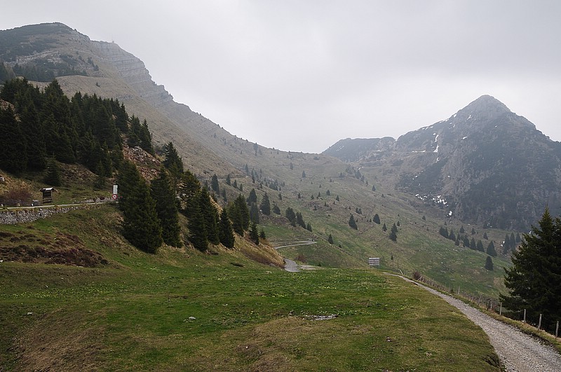 DSC_0990.JPG