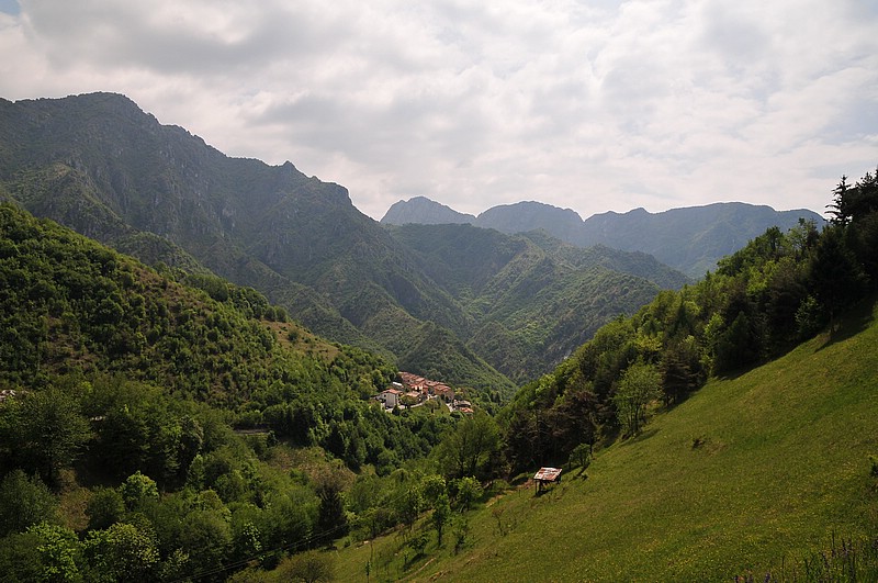 DSC_1351.JPG
