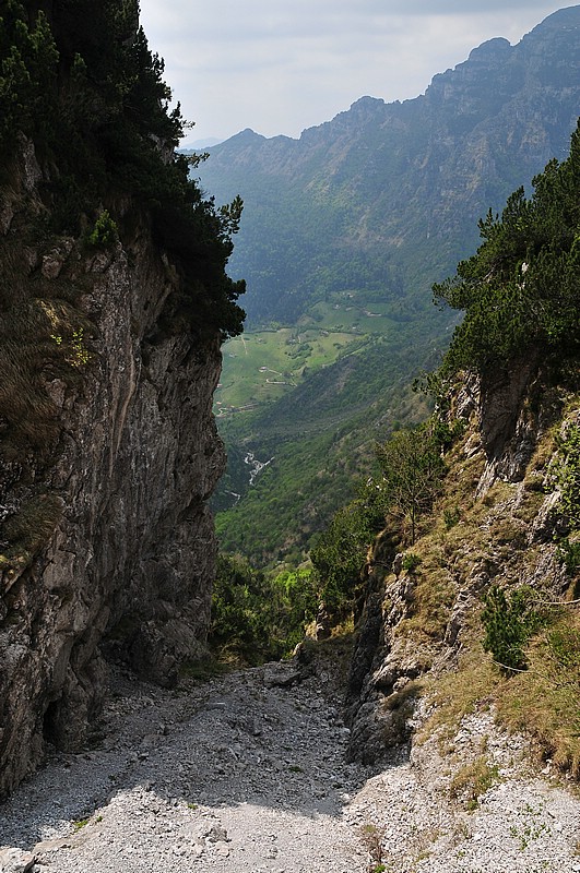 DSC_1377.JPG