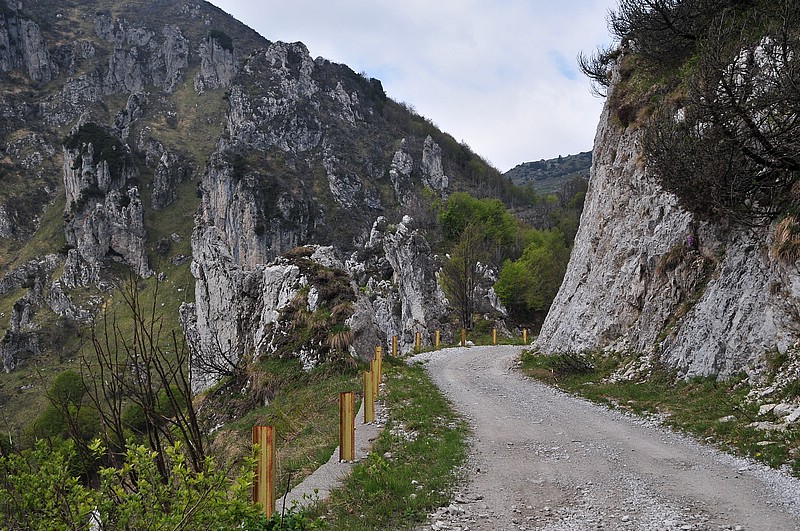 DSC_1402.JPG