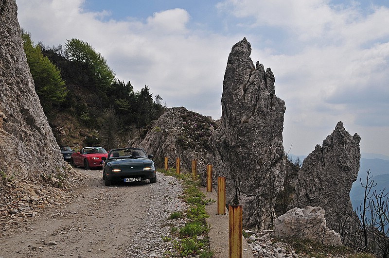 DSC_1404G.jpg