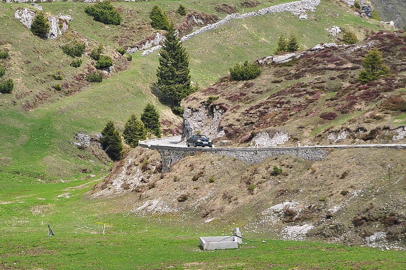 DSC_1411C.jpg