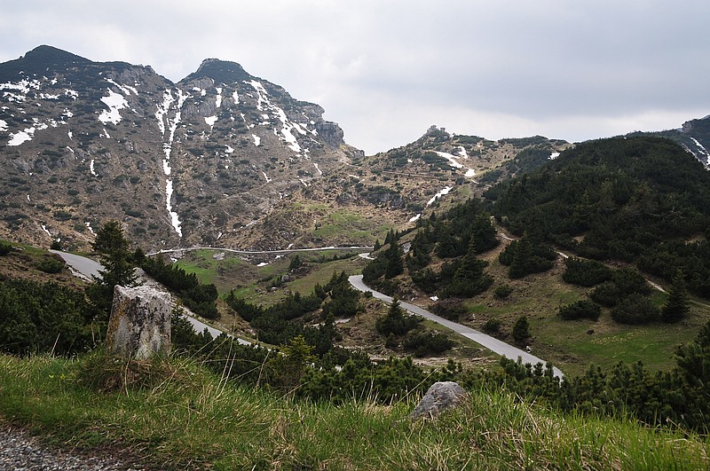 DSC_1420.JPG
