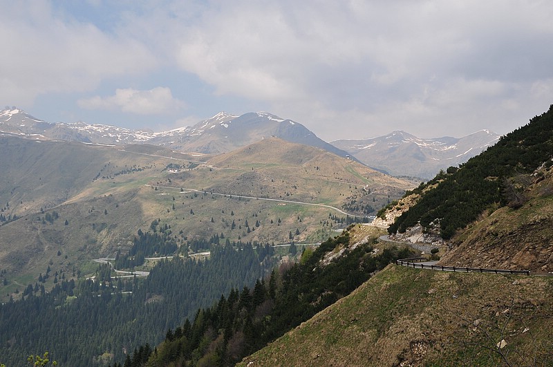 DSC_1427.JPG