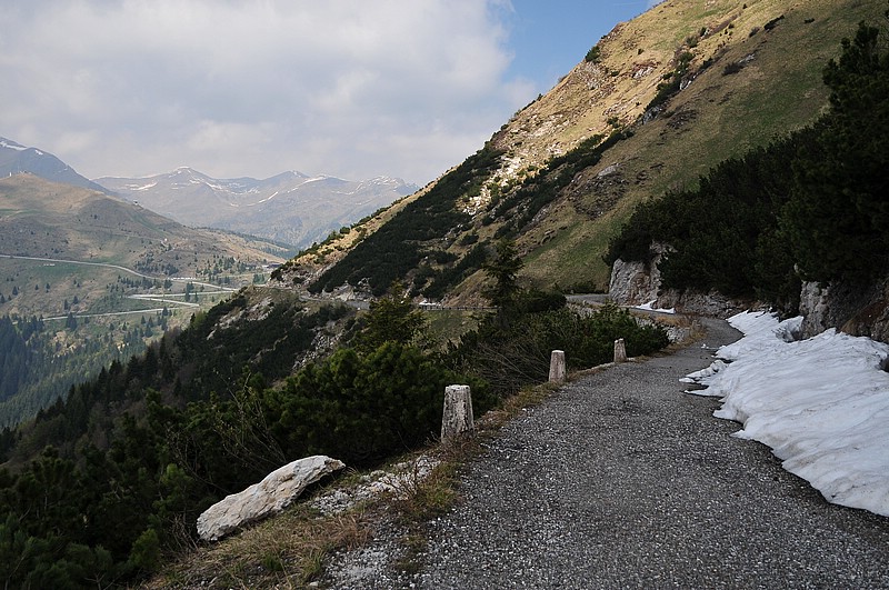 DSC_1432.JPG
