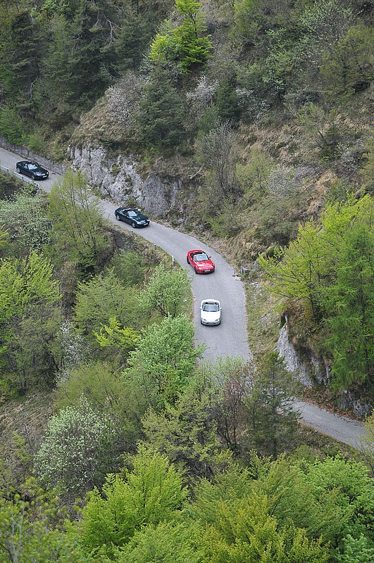 DSC_1464.JPG