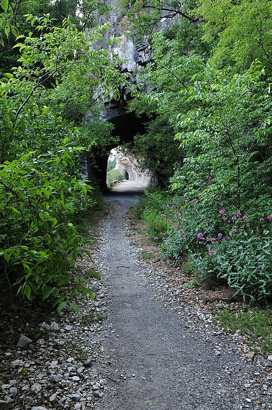 DSC_1521.JPG