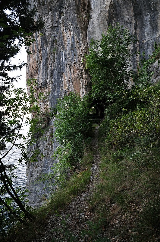 DSC_1522.JPG