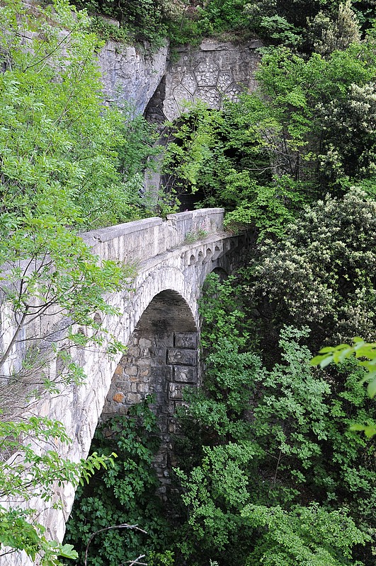 DSC_1536.JPG