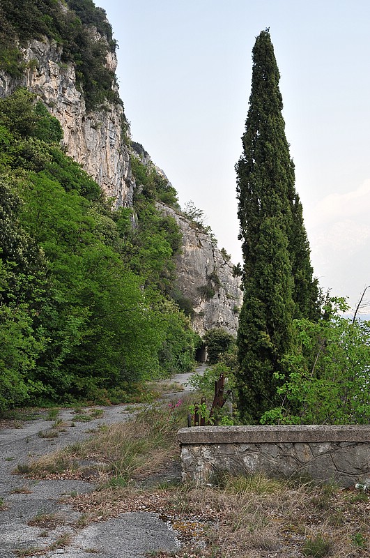 DSC_1542.JPG