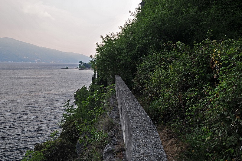 DSC_1629G.jpg