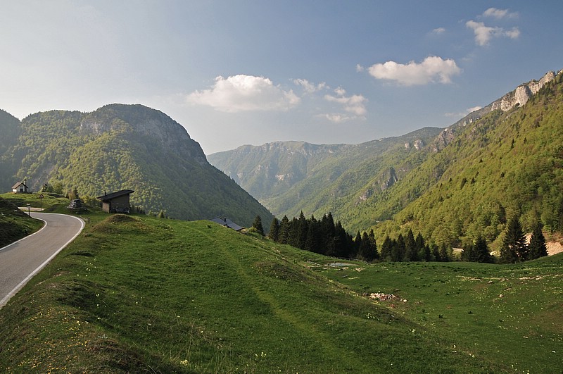 DSC_1887DG.jpg