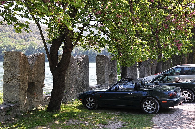 DSC_2008.JPG