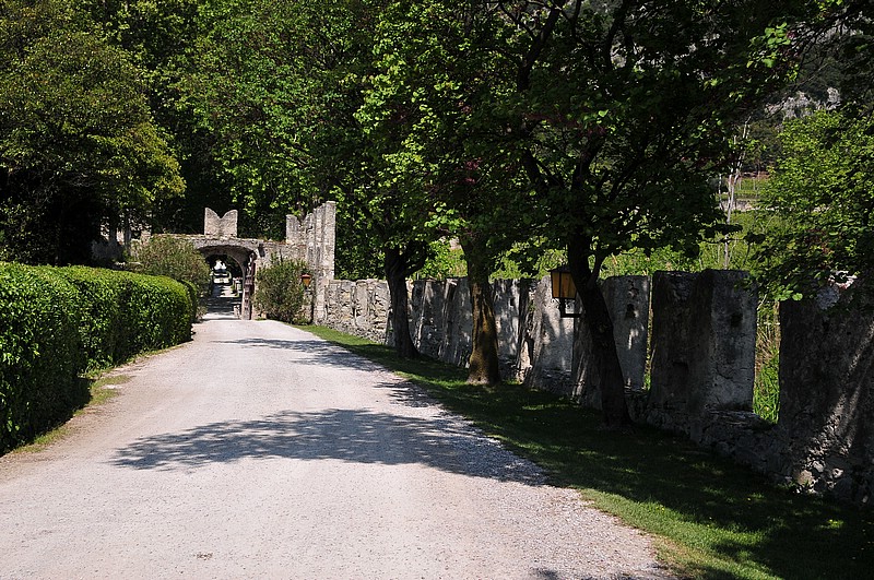 DSC_2017.JPG