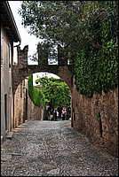 DSC_1085.JPG