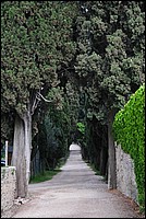 DSC_1111E.jpg