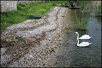 DSC_1117.JPG