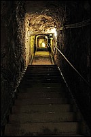 DSC_1275G.jpg
