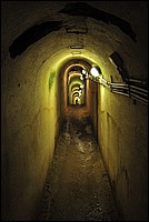 DSC_1281.JPG