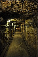 DSC_1283.JPG