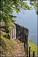 DSC_1302.JPG