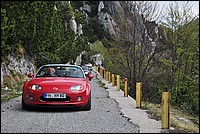 DSC_1371.JPG